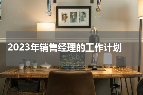 2023年销售经理的工作计划