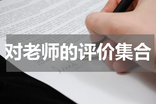 对老师的评价集合