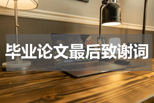 毕业论文最后致谢词