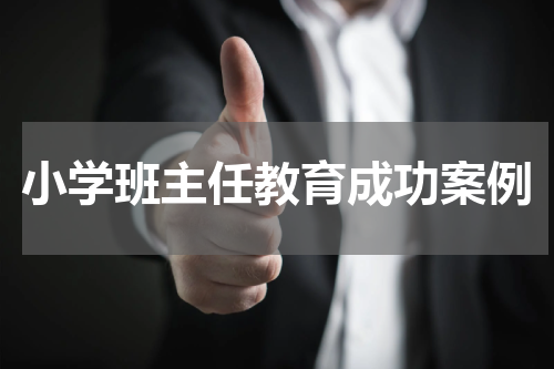 小学班主任教育成功案例