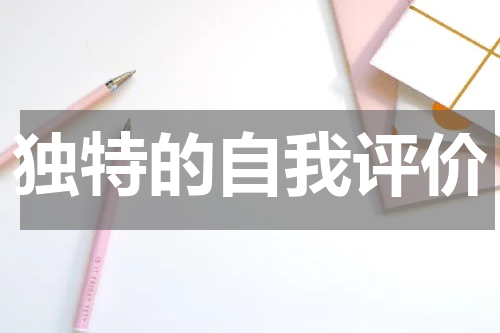 独特的自我评价