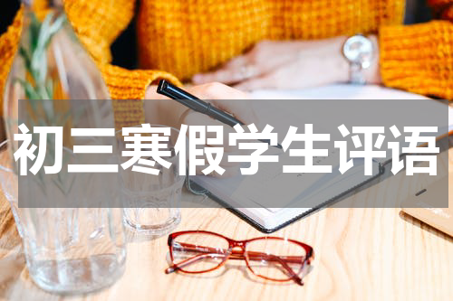 初三寒假学生评语