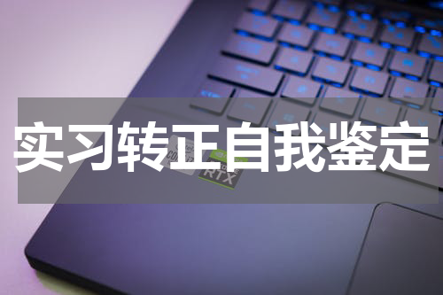 实习转正自我鉴定