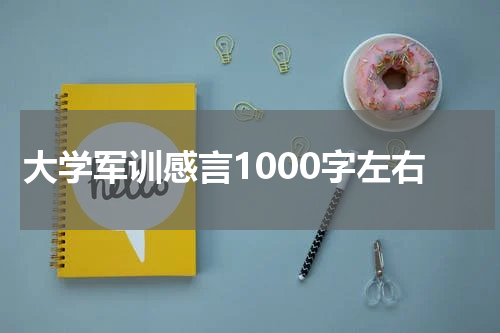 大学军训感言1000字左右