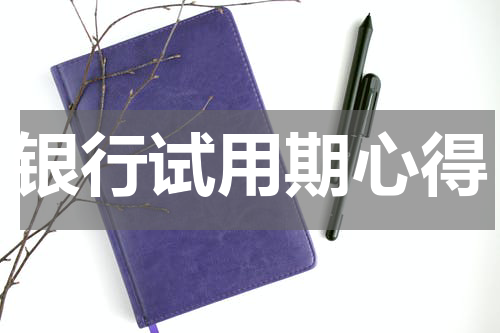 银行试用期心得