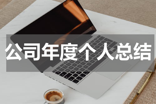 公司年度个人总结