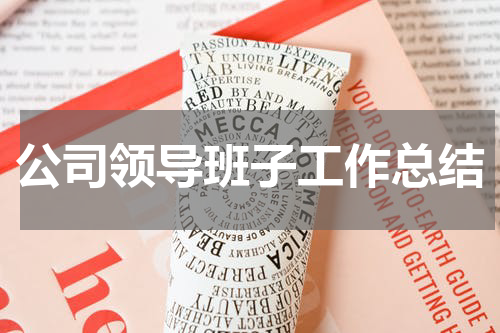 公司领导班子工作总结