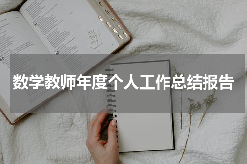 数学教师年度个人工作总结报告