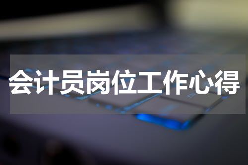 会计员岗位工作心得