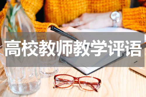 高校教师教学评语
