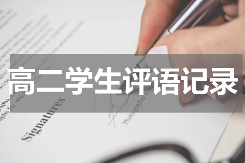 高二学生评语记录