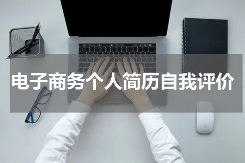 电子商务个人简历自我评价
