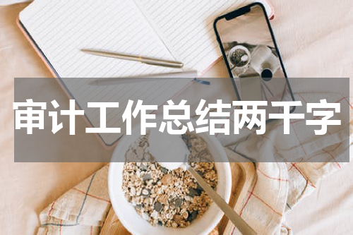 审计工作总结两千字