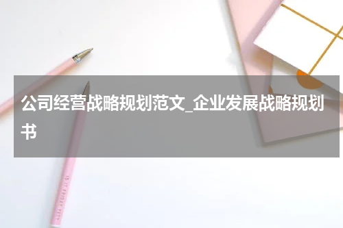 公司经营战略规划范文_企业发展战略规划书