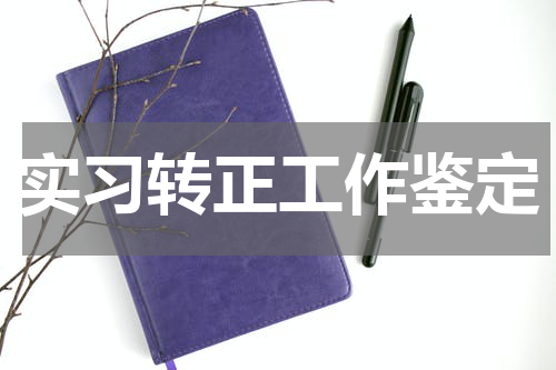实习转正工作鉴定