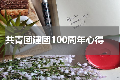 共青团建团100周年心得