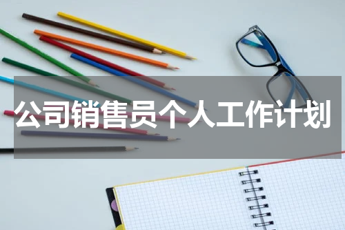 公司销售员个人工作计划