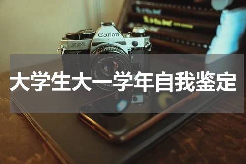 大学生大一学年自我鉴定