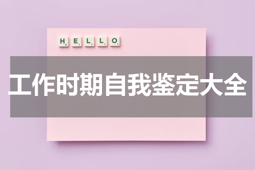 工作时期自我鉴定大全
