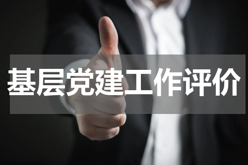 基层党建工作评价