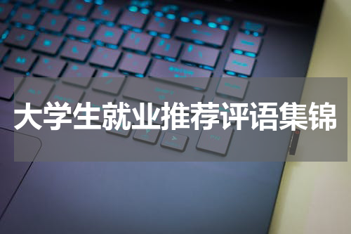 大学生就业推荐评语集锦