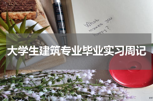 大学生建筑专业毕业实习周记