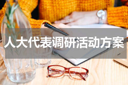 人大代表调研活动方案