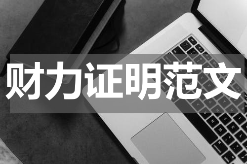 财力证明范文