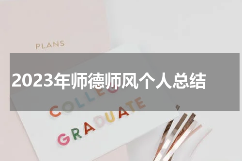 2023年师德师风个人总结