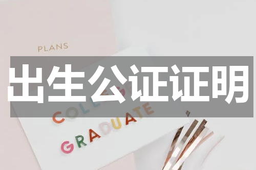 出生公证证明