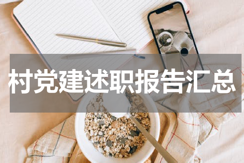 村党建述职报告汇总