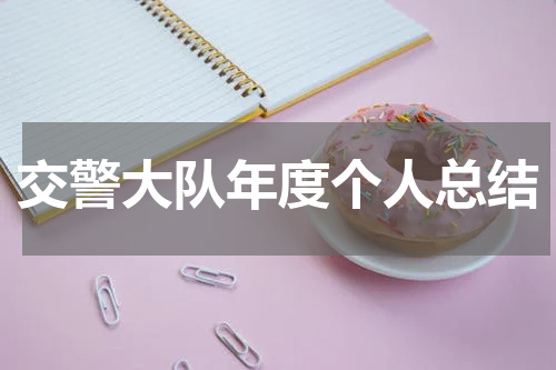 交警大队年度个人总结