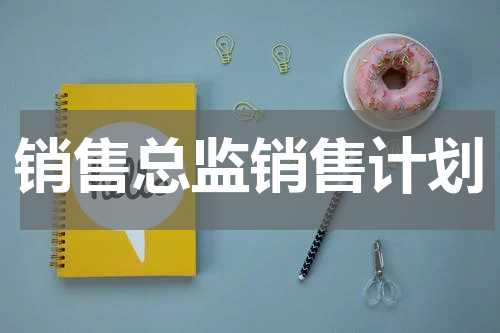 销售总监销售计划