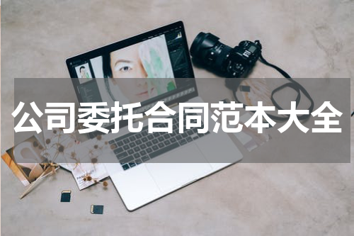 公司委托合同范本大全
