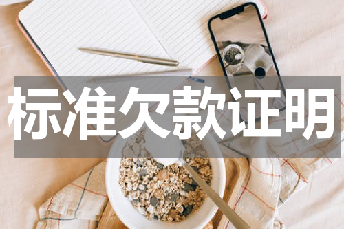 标准欠款证明