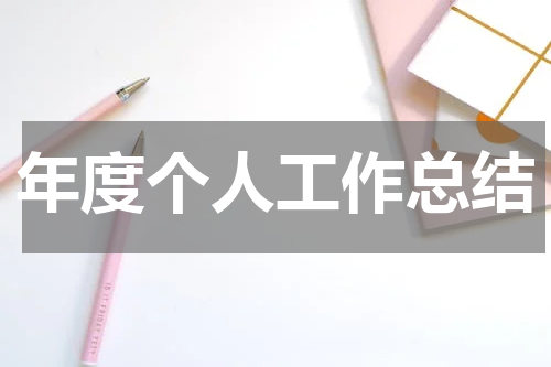 年度个人工作总结