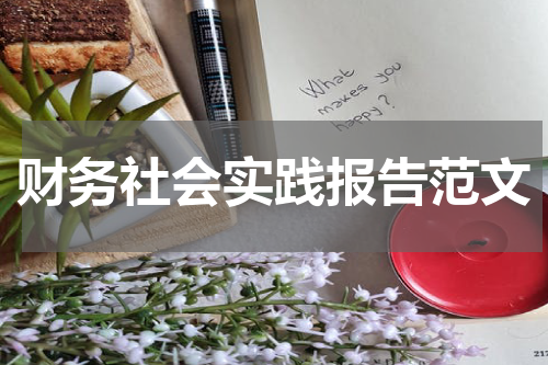 财务社会实践报告范文