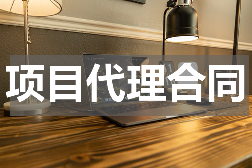 项目代理合同