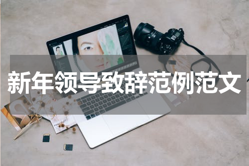 新年领导致辞范例范文