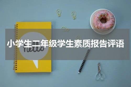 小学生二年级学生素质报告评语