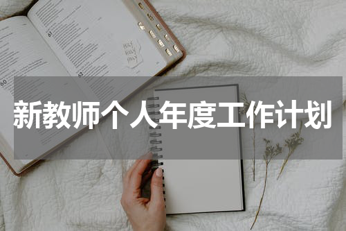 新教师个人年度工作计划