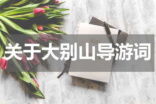 关于大别山导游词