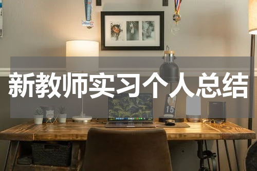 新教师实习个人总结