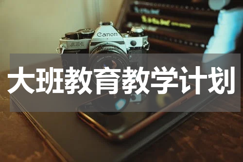大班教育教学计划