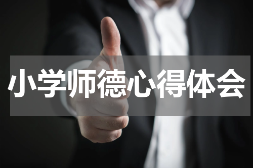 小学师德心得体会