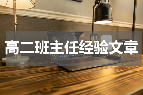 高二班主任经验文章