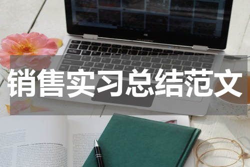 销售实习总结范文