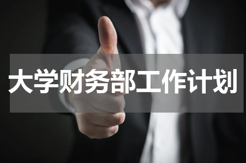 大学财务部工作计划