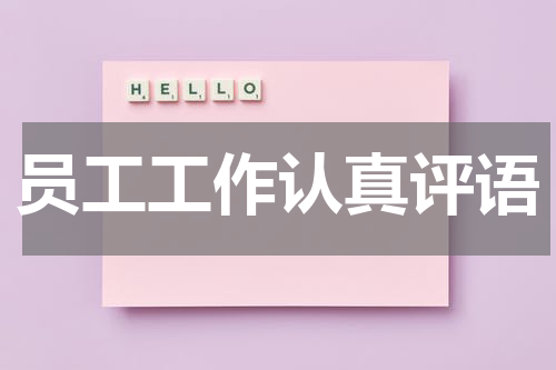 员工工作认真评语
