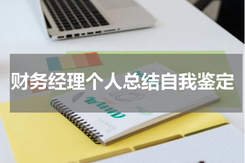 财务经理个人总结自我鉴定
